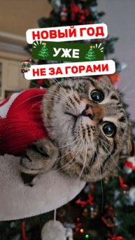 А вы уже подготовились к Новому году?