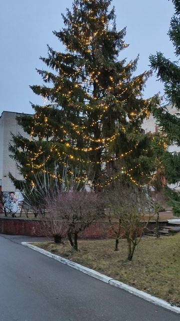 Нарядная ёлочка / такой себе декабрь 2025