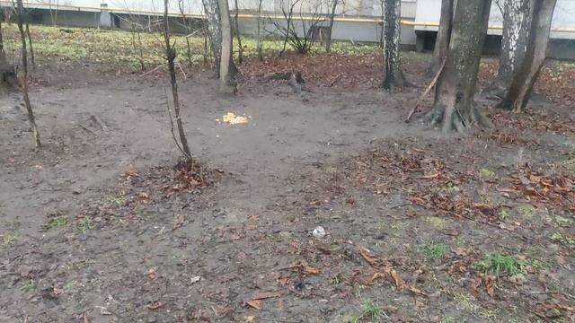 магический прогноз погоды от волшебника 11 декабря Творите добро и ждите очередной снег он в пути