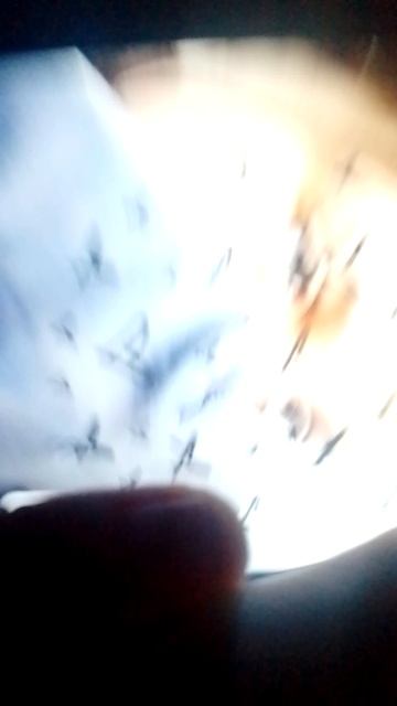 угадайте на каком фото я?