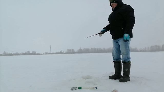 10 декабря 2025г. Ветреный день.