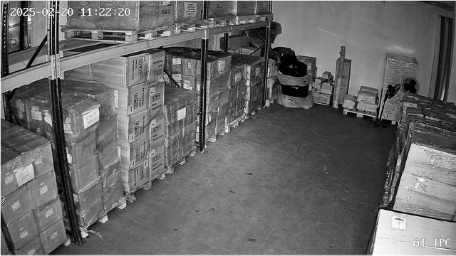 Пример записи Камера видеонаблюдения IP 5Мп Ps-Link IP305P