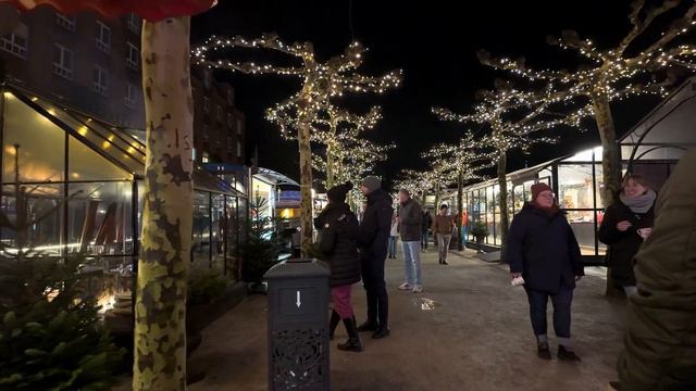 ✨Рождественский Дюссельдорф 2025 волшебная прогулка по огням немецкого города🎄🌃