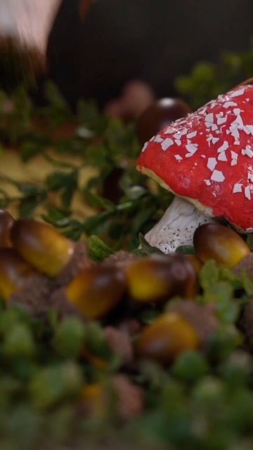 Как думаешь, для чего декорации?🍄