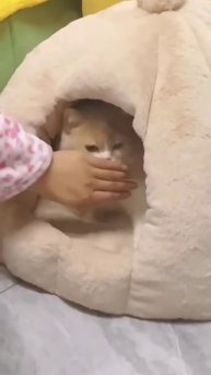 Не подглядывай!