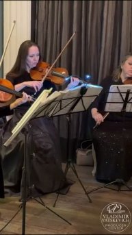 Струнный квартет п/у Владимира Яцкевича на корпоративе архитекторов🔥