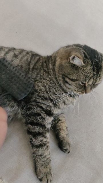 Ганс, как всегда, остаётся за старшего.