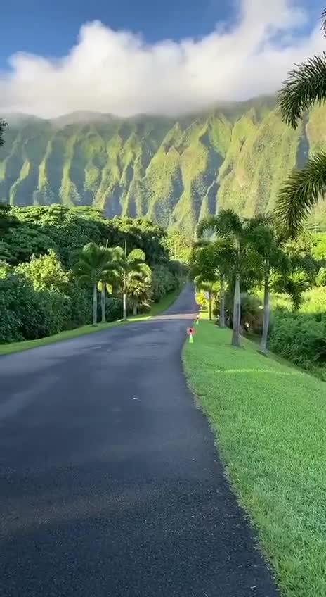 Подпишись 👉  👉 https://kamennyi-zver.ru