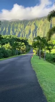 Подпишись 👉 👉 https://kamennyi-zver.ru