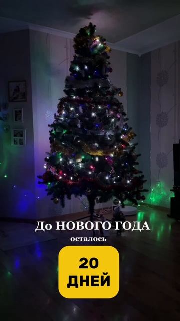 До нового года осталось 20 дней!🎄