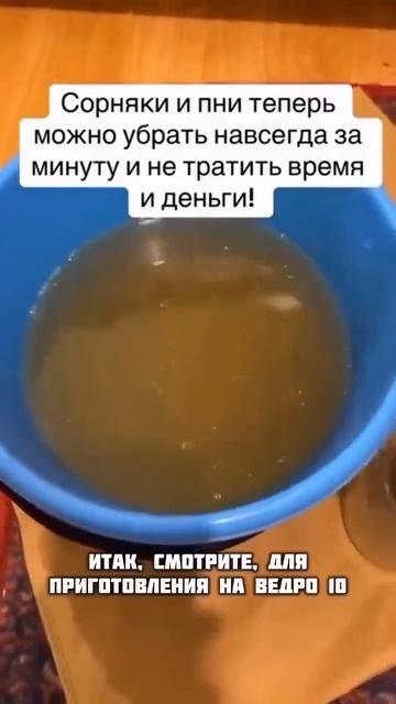 Как навсегда избавиться от сорняков и пней