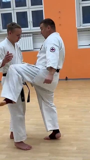 Кёкусинкай / Шихан Алексей Горохов / УТС Мурманск (6.12.25) #7