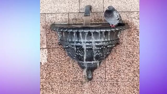 Прогулка по Москве. Фотопутешествие по Москве. Маршрут по знакомым местам.