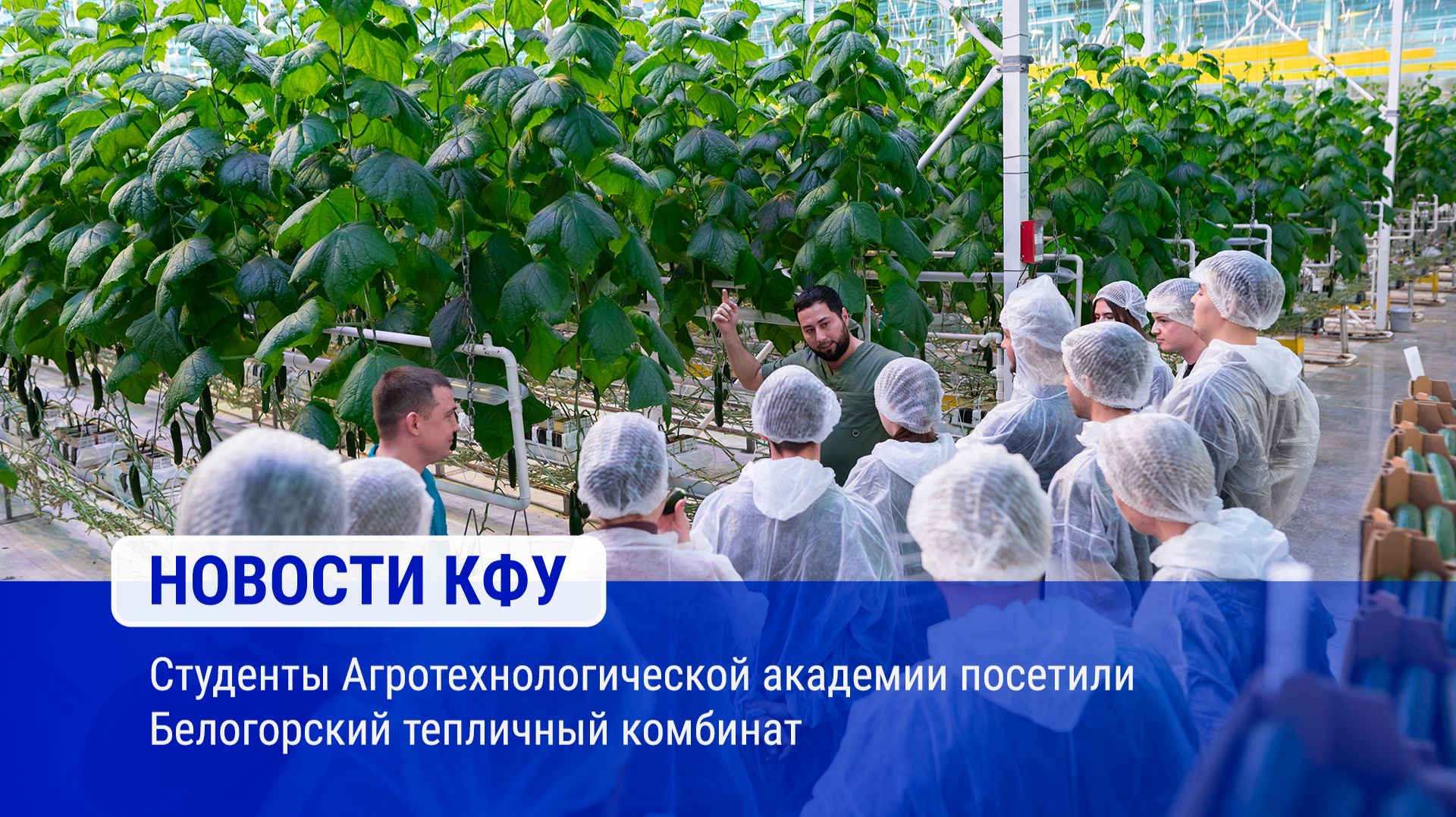 Студенты Агротехнологической академии посетили Белогорский тепличный комбинат