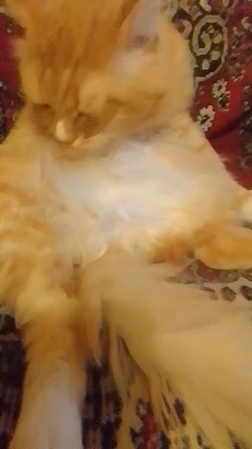 В баню ходить не надо!)