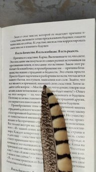 Причина страданий и бедности