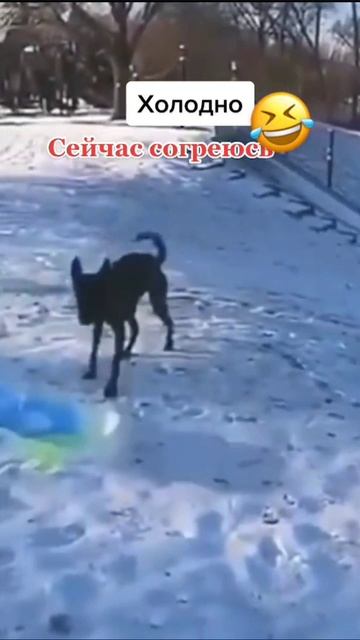 топ олдовский мемасик