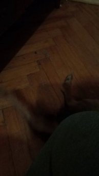 Ник играется