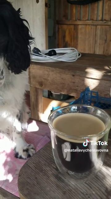 Кофе от альцгеймера?!...)))