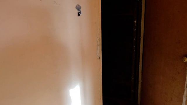 Сабонеева 16-175