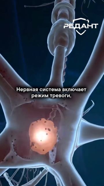 За_15_минут_до_инфаркта_тело_даст_эти_5_сигналов!