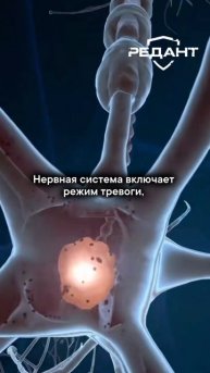 За_15_минут_до_инфаркта_тело_даст_эти_5_сигналов!