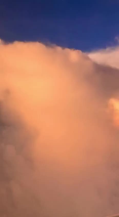 Подпишись 👉 👉 https://kamennyi-zver.ru