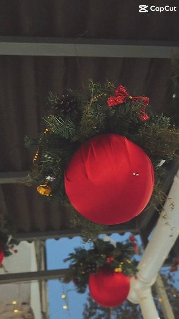 Груминг_салон_Модные лапки_1