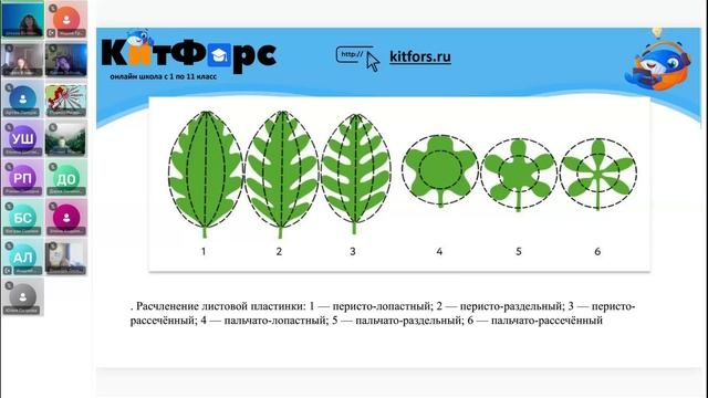 6А Биология 12 декабря