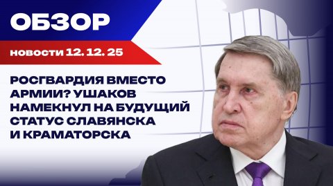 От мирных инициатив до спортивных побед: День Конституции как день триумфа России на мировой арене