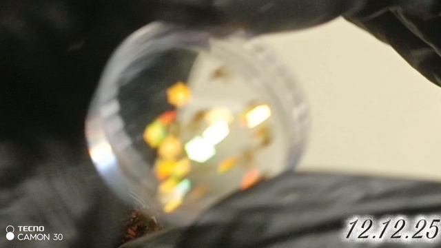 337✨✨✨ромбики