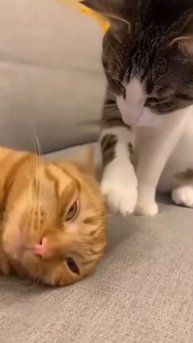 Доброе утро😜