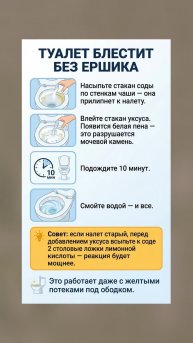 Как очистить туалет без лишних усилий