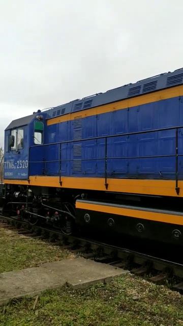 Тепловоз ТГМ6А.