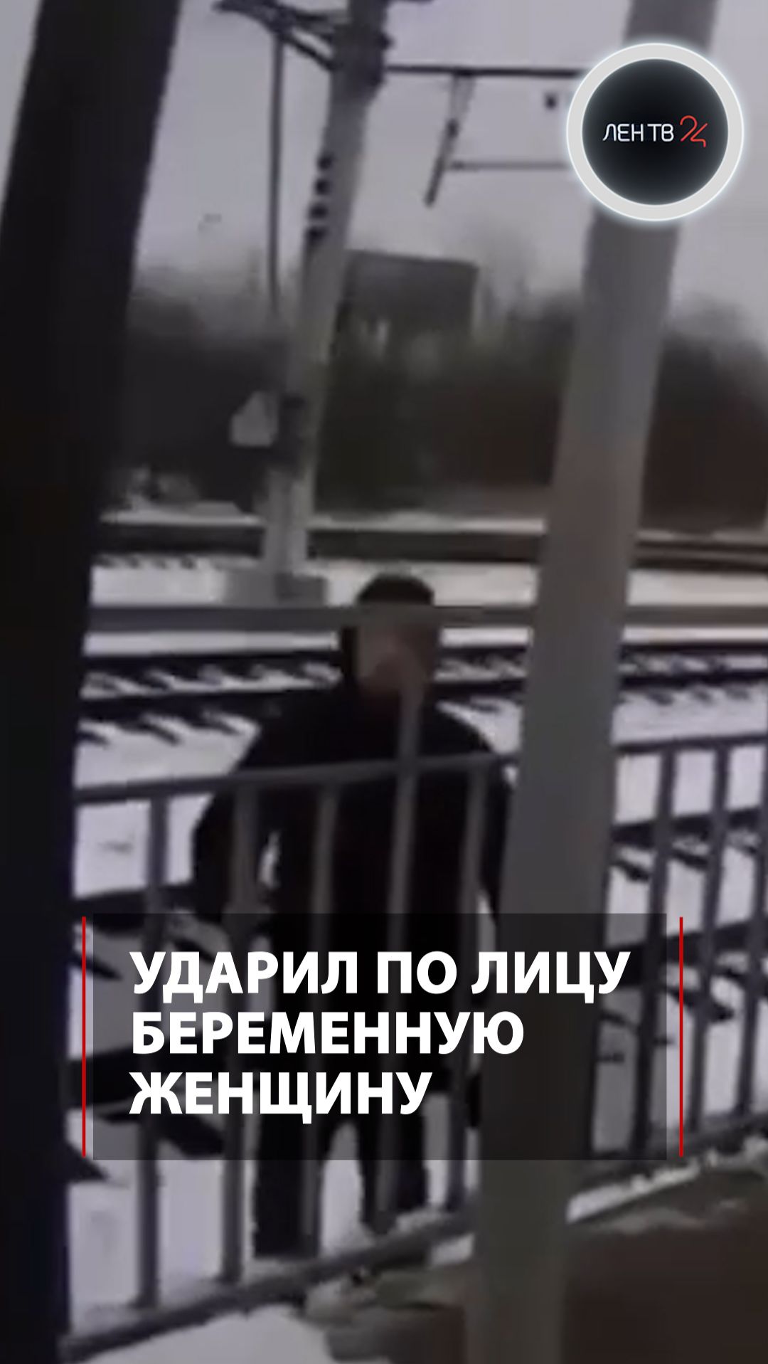 Ударил по лицу беременную женщину
