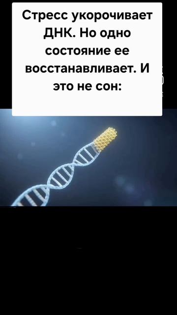 Состояние продлевающее жизнь