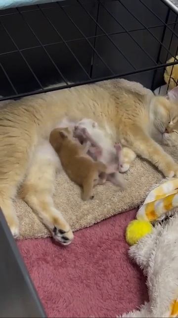 Борьба за место под солнцем 😻♥🥰😋😚