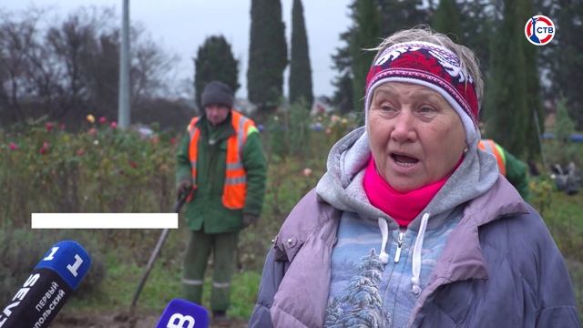 Специалисты «Парков и скверов» завершают высадку 250 тысяч луковиц весенних цветов на клумбах города