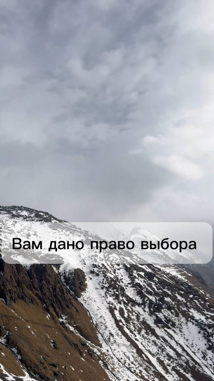 Вам дано право выбора