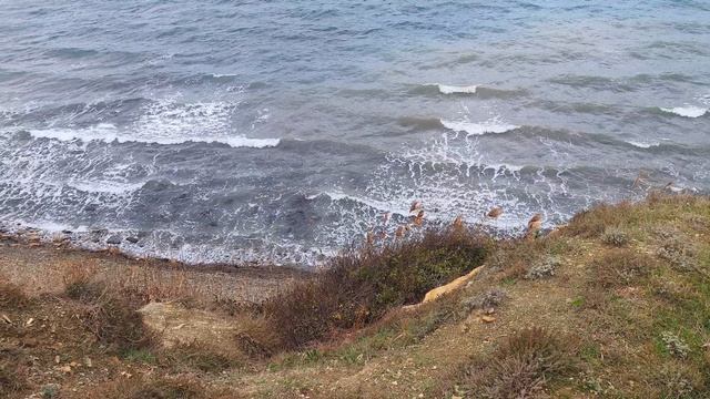 Анапа 12.12.2025