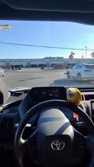 Родился с рулем в руках😂