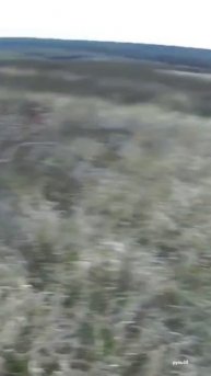 Лютый промах по Фазану