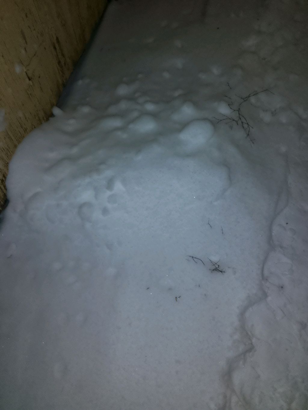 Зима.Спорт-спонсоры от 100 руб. на карту 2200010182500986

Спонсоры от 1000 руб. на карту.