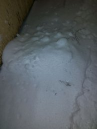 Зима.Спорт-спонсоры от 100 руб. на карту 2200010182500986
Спонсоры от 1000 руб. на карту.