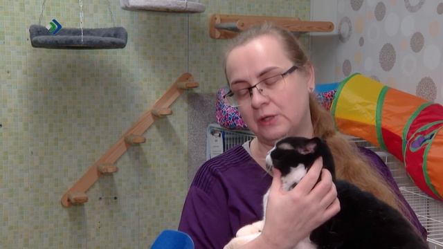 #КОМИДВИЖ. 12.12.2025