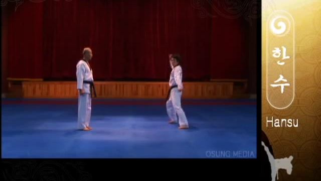 Poomsae 08 Hansu (Kyu Hyung Lee)
