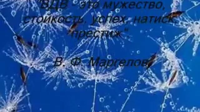 Одуванчики (десантники)