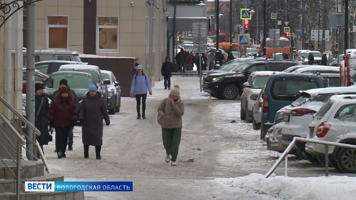 День Конституции Российской Федерации отметают вологжане