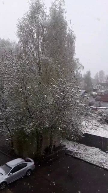 Эх снег, снежок