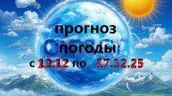 Прогноз погоды